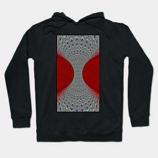 Torus Plexus Hoodie